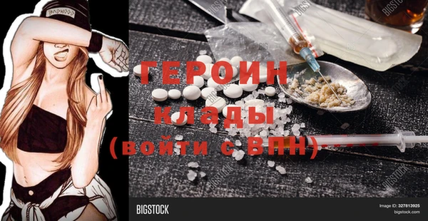 прущие грибы Пересвет