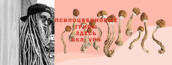 винт Пестово