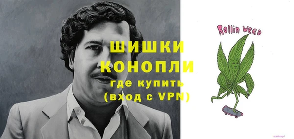 гидра Переславль-Залесский