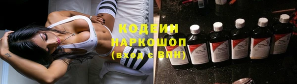 прущие грибы Пересвет
