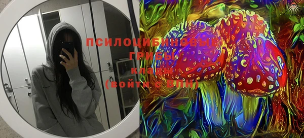 прущие грибы Пересвет