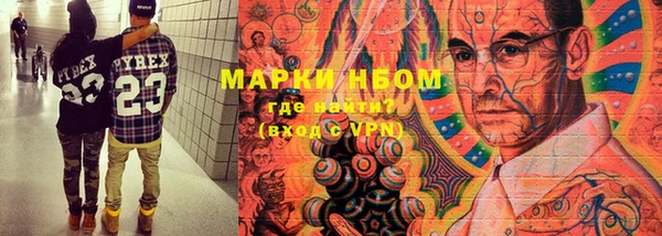 прущие грибы Пересвет
