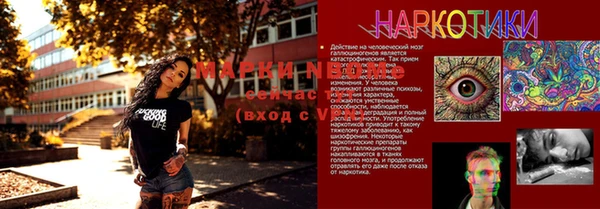 прущие грибы Пересвет
