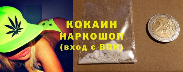 прущие грибы Пересвет
